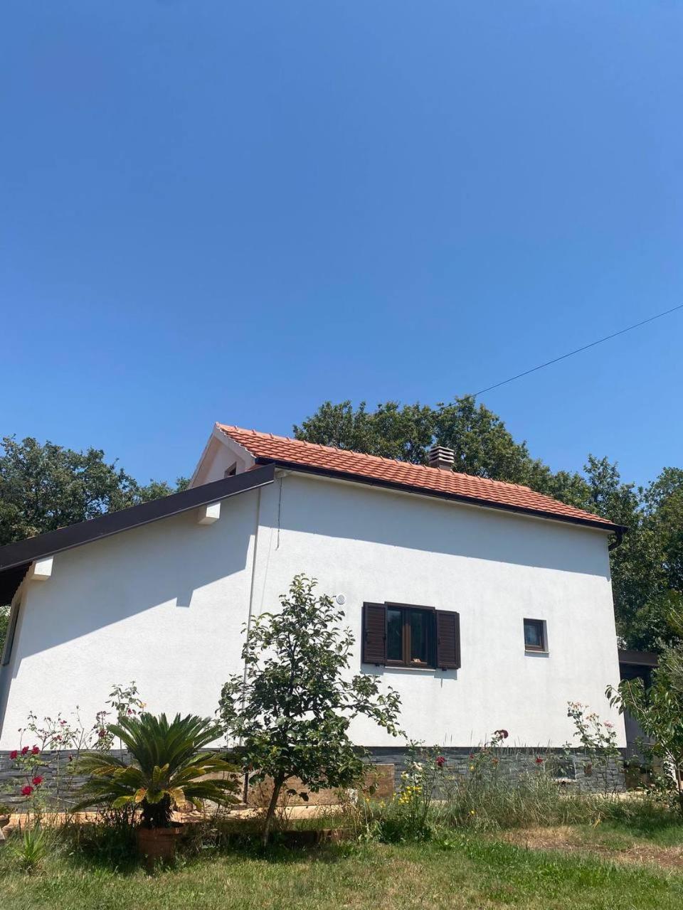 Villa Shu Krimovica Exteriör bild